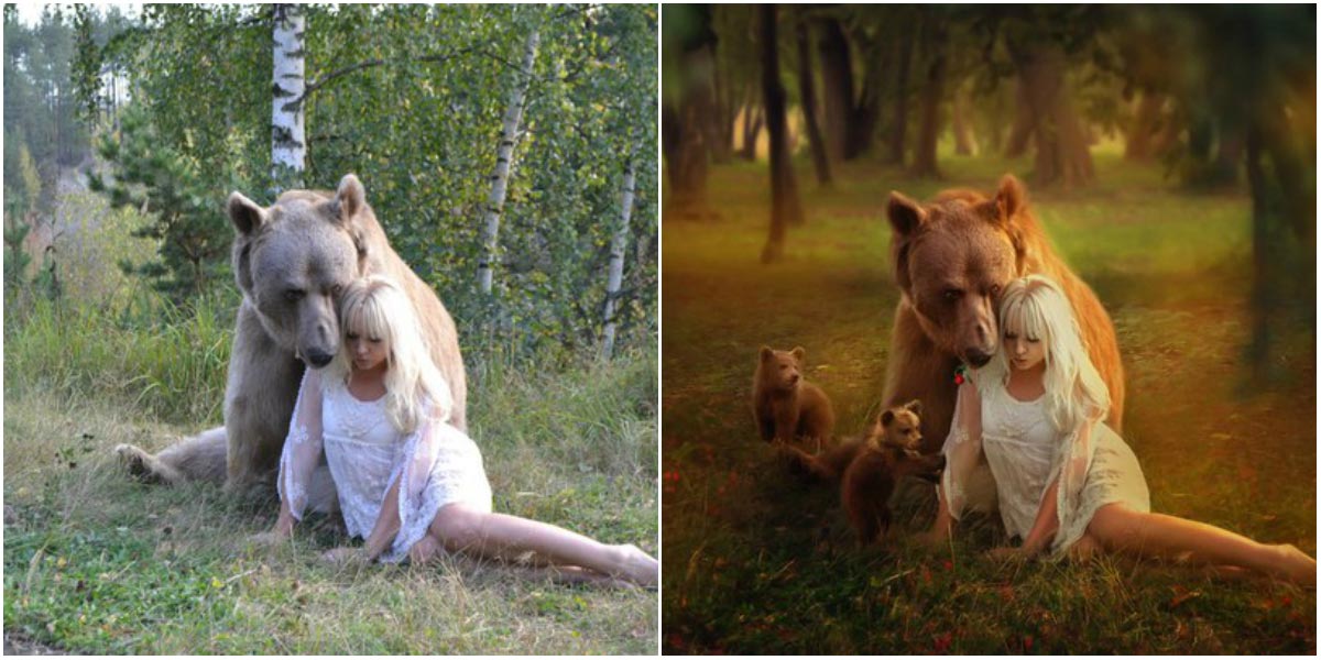 AcademiaHQ - Image 4